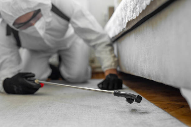 Professional Cockroach Control technician working in Robbins, NC