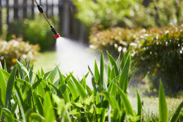 24/7 Emergency Cockroach Control experts in Robbins, NC