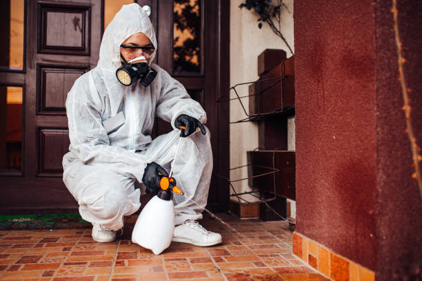 Reliable Cockroach Control contractor in Robbins, NC by Nex Pest Control